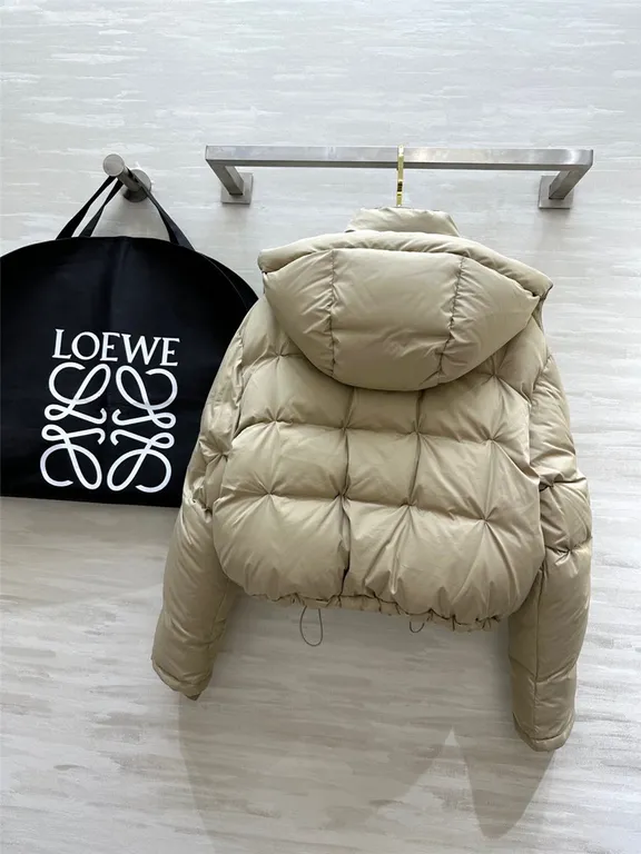 Loewe hooded down jacket